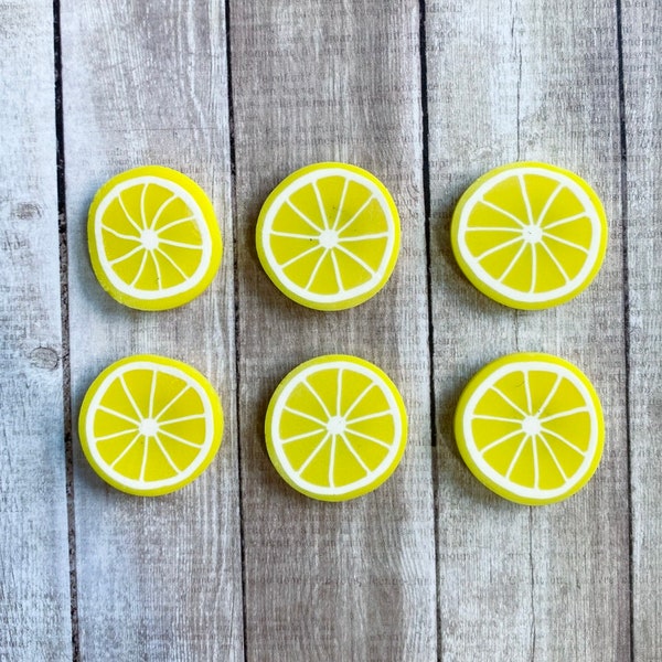 Lemon Slice Magnets - Set of 6 or 12 - Fruit Magnets