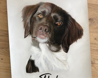 Hunde - Portrait - Portraitzeichnung - Pastellzeichnung - Portrait vom Foto - Porträt