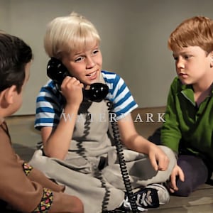 Può includere: Tre ragazzi giovani sono seduti sul pavimento. Un ragazzo è al telefono, mentre gli altri due ragazzi guardano. Il ragazzo al telefono indossa una camicia a righe e una salopette. Gli altri due ragazzi indossano una camicia verde e una camicia marrone.