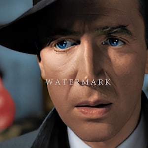 May include: A close-up of a man's face. He is wearing a black fedora hat and a dark suit jacket. He has blue eyes and a serious expression. The word "WATERMARK" is visible in the lower center of the image.