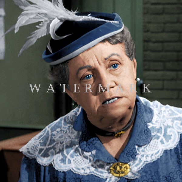 Andy Griffith Show Memorabilia Etsy