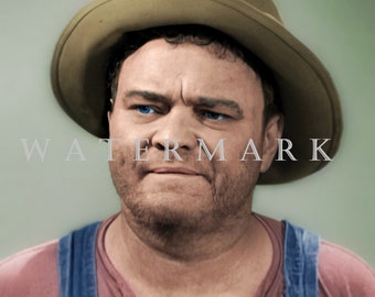 The Andy Griffith Show DIGITAL DOWNLOAD Custom COLORIZED Digital Photo - Rafe Hollister