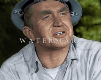 The Andy Griffith Show Custom colorized DIGITAL DOWNLOAD Photo - Mr. McBeevee