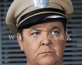 The Andy Griffith Show DIGITAL DOWNLOAD Custom COLORIZED Digital Photo - Otis Campbell