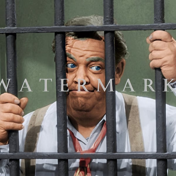 The Andy Griffith Show DIGITAL DOWNLOAD Custom COLORIZED Digital Photo - Otis Campbell