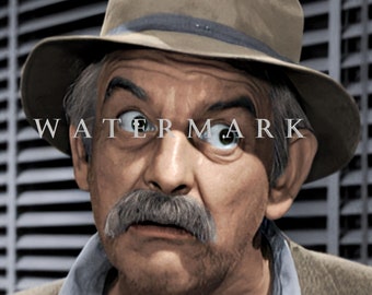 The Andy Griffith Show DIGITAL DOWNLOAD Custom COLORIZED Digital Photo - Briscoe Darling