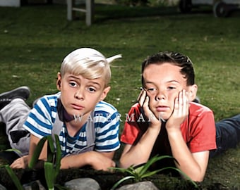 Dennis the Menace - Jay North and Billy Booth - Custom Colorized Digital Photo Painting DIGITAL DOWNLOAD