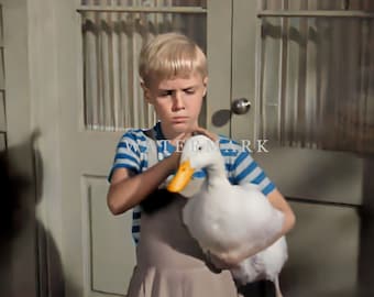 Dennis the Menace - Jay North - Joseph Kearns - Jeannie Russell - Billy Boyd Custom Colorized Digital Photo Painting DIGITAL DOWNLOAD