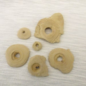 6 - Miniature-Sized Concretion Specimens 9030x