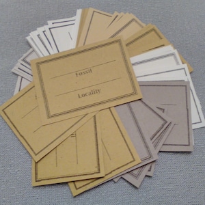 50 - Fossil Identification Labels 3300x