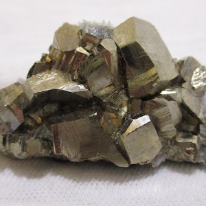 May include: A cluster of pyrite crystals, also known as fool's gold, with a metallic, golden lustre. The crystals have a geometric, angular shape and are clustered together on a white surface. The pyrite is a mineral specimen.