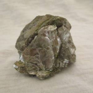 May include: A close-up of a rock with a layered, flaky texture. The rock is a light brown colour with some green moss growing on it.