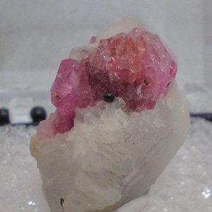Thumbnail-Sized Corundum Var. Ruby Crystal In A Perky Box 7G