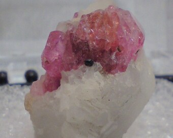 Thumbnail-Sized Corundum Var. Ruby Crystal In A Perky Box 7G