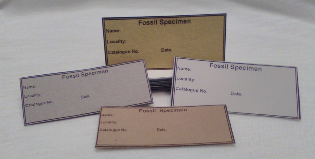 50 Assorted Fossil Identification Labels 436x Etsy