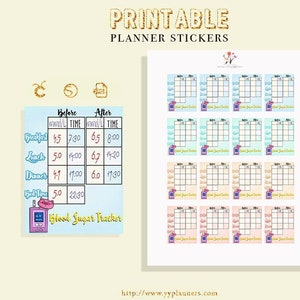 Printable Blood Sugar Tracker, Diabetes Stickers, Meal Stickers, Medical / Health Stickers, EC & Happy Planner, Silhouette Cricut Cut file