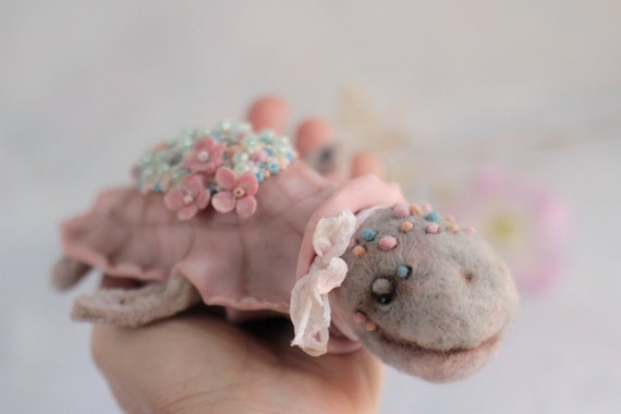 teddy tortoise