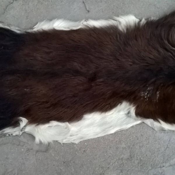 Real Goat skin - pelt - hide - rug - 100% natural - black & white   - hair on - soft tanned - ready for shipping.Vintage