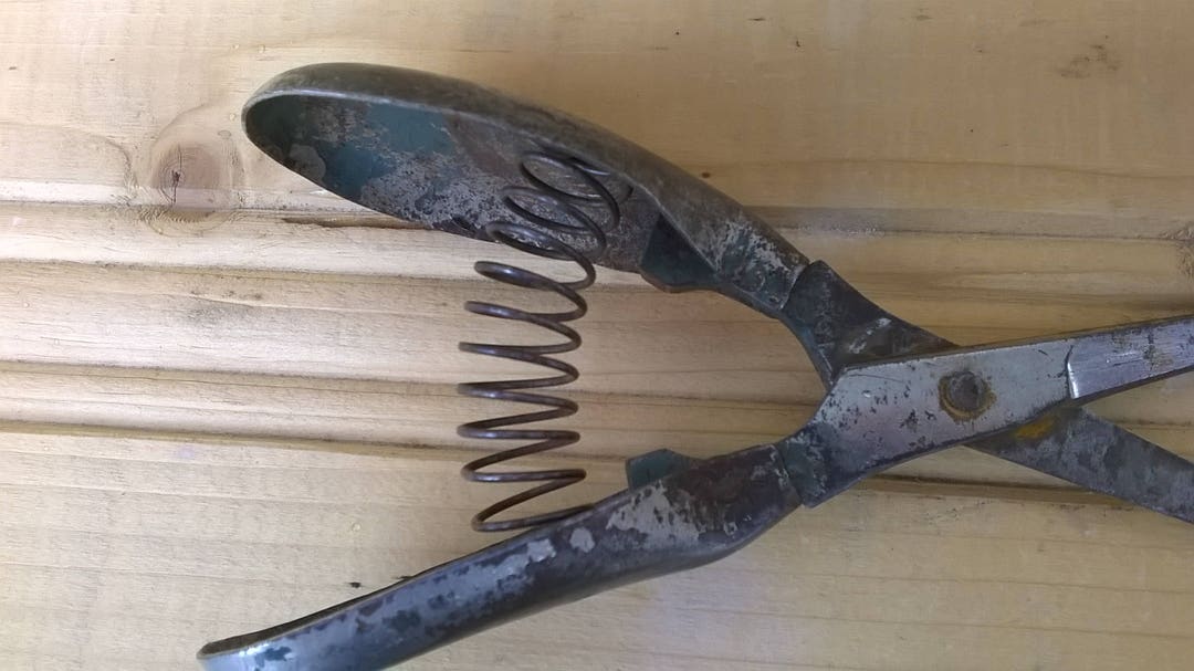 Spring Scissors Old Vintage Scissors With a Spring / Cutting Tool / Scissor, Vintage Style ...