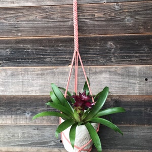 Coral Colored Macrame Plant Hanger// Boho Home Decor // Modern Macrame