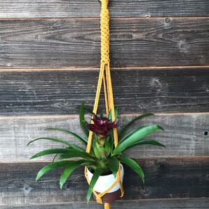 Mustard Macrame Plant Hanger // Modern Macrame // Boho Home Decor