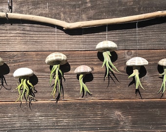 Hanging Air Plant Jellyfish | Coastal Home Decor | Unique Air Plant Gift | Beach House Wall Hanging | Sea Life Air Plant Jellyfish Hanger