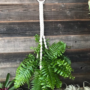 Natural Raw Cotton 3 Ply Rope // Macrame Plant Hanger W Metal Ring // Boho Home Decor // Farmhouse Decor