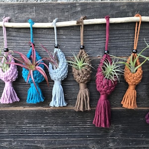 Air Plant Pod Holder | Macrame Air Plant Hanger | Boho Hanging Air Plant Pod | Indoor Plant Wall Decor | Modern Bohemian Plant Decor