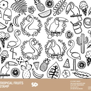 Paquete de imágenes prediseñadas de frutas tropicales, imágenes prediseñadas de flamencos, sello digital de tucán, dibujo de piña, helado. Png Jpeg SVG DXF EPS. Uso comercial.