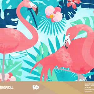 May include: Two pink flamingos with black beaks stand in front of a tropical background with green and blue leaves and pink flowers. The text "TROPICAL" is at the bottom of the image.