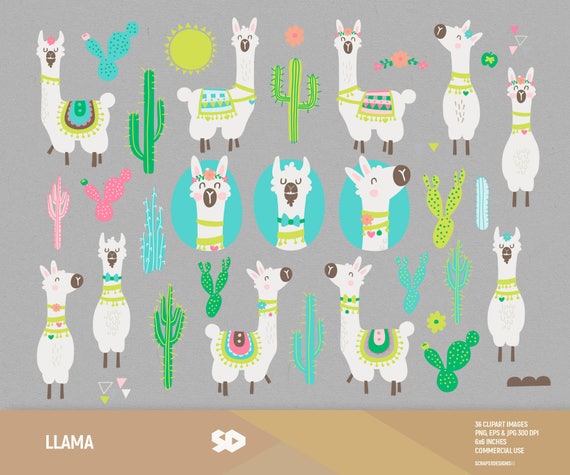 Illustration Alpaka Lama - Animal