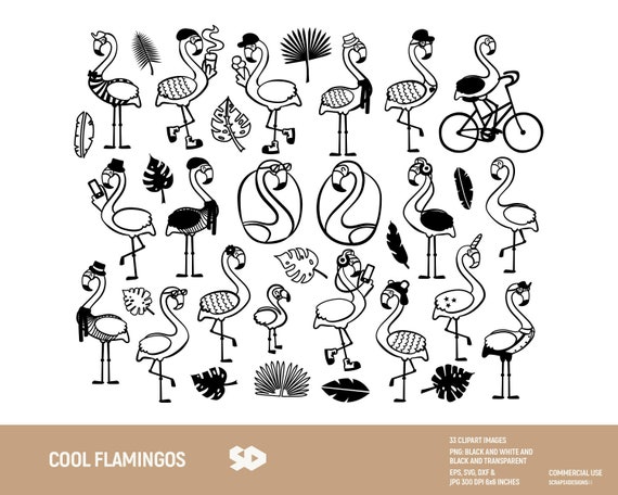 Cool flamingos clipart bundle, flamingo clip art, tropical stamp, hipster draw, vector, leaves bicycle. Png Jpeg SVG DXF EPS. Commercial use