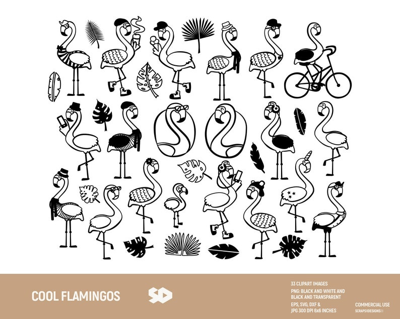 Cool flamingos clipart bundle flamingo clip art tropical | Etsy