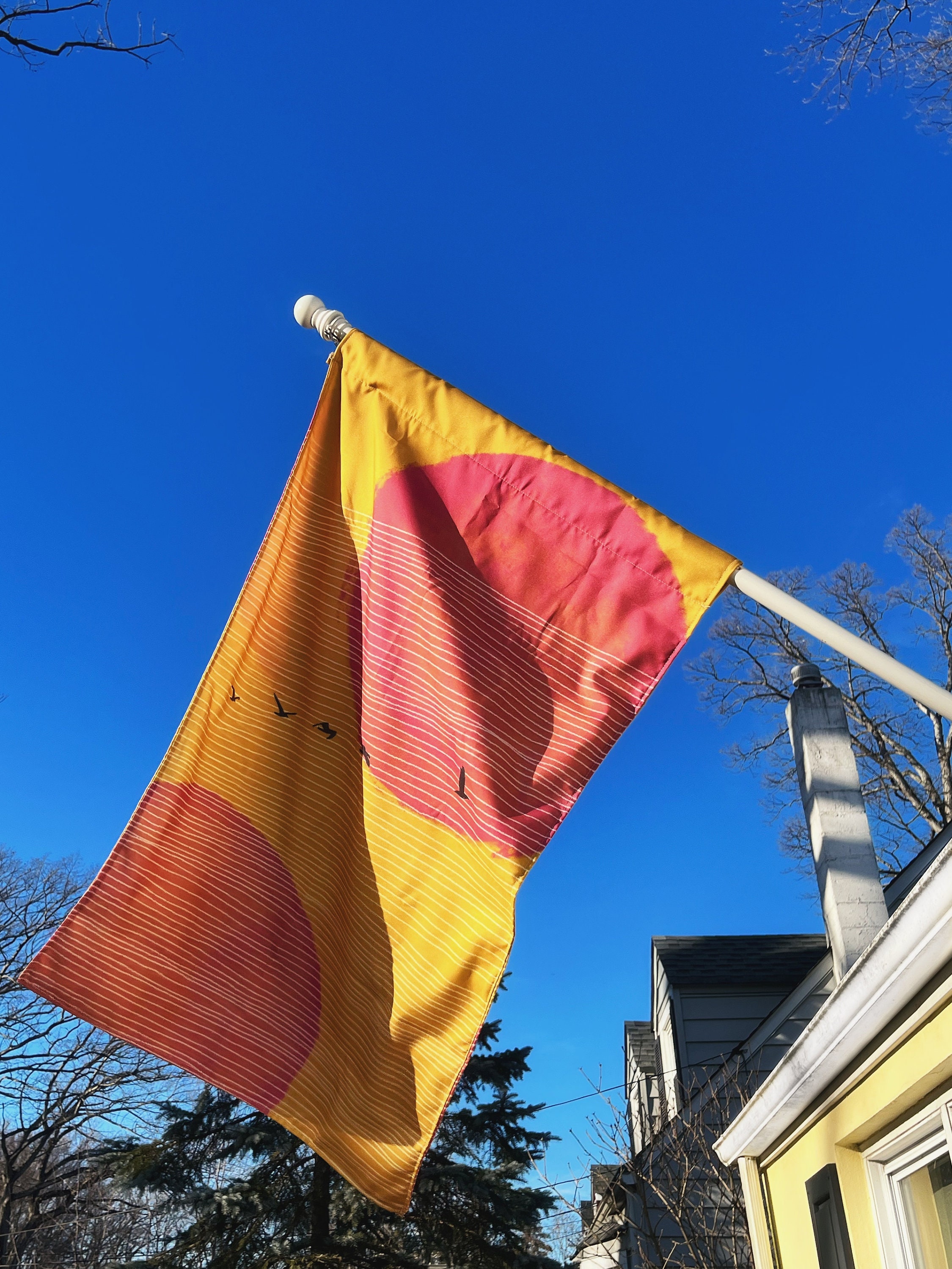 Birds in Flight House Flag