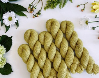 Hand Dyed Yarn • Color No. 12 Sprout • Natural Merino/Nylon Blend Yarn  For Knitting or Crochet