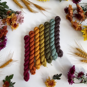 Mini Skein Set • Autumn Tonals Collection • Merino and Nylon Sock Blend • 7 Cute Mini Skeins for Knitting, Crochet, Weaving