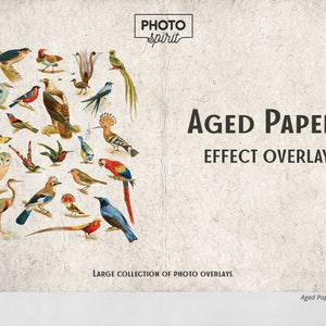 Sovrapposizioni effetto carta invecchiata per Photoshop: sovrapposizione con azione per design fotografico, retrò, vintage. Carta antica, arte, stile, sfondo.