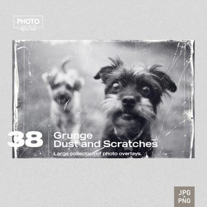 Puede incluir: Una foto en blanco y negro de dos perros, uno delante del otro. La foto tiene un efecto grunge con arañazos y polvo superpuestos. El texto "Grunge Dust and Scratches" está debajo de la foto con el texto "Large collection of photo overlays." debajo.