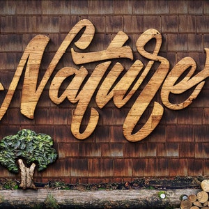 May include: A wooden sign with the word "Nature" carved in a stylized font. The sign is mounted on a brown brick wall. There is a small green tree and a pile of logs in the foreground.