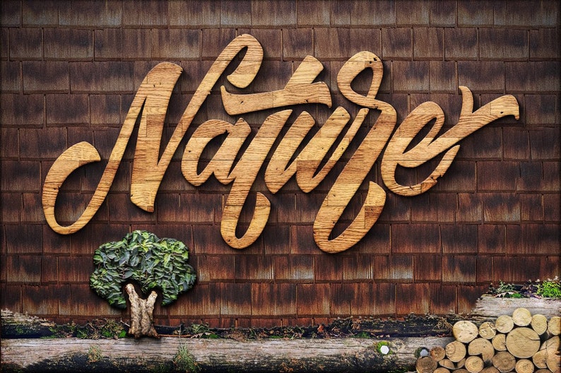 May include: A wooden sign with the word "Nature" carved in a stylized font. The sign is mounted on a brown brick wall. There is a small green tree and a pile of logs in the foreground.