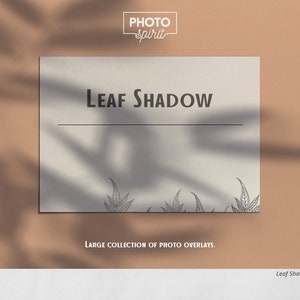 Sovrapposizioni di foto di ombre di foglie per Photoshop (JPG, ATN, PDF)