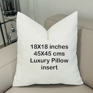 18X18 Pillow Insert, Pillow Form, Long Pillow Insert, Lumbar Pillow Insert, 45X45 Throw Pillow Insert, Decorative Pillow Insert 12X20 inches