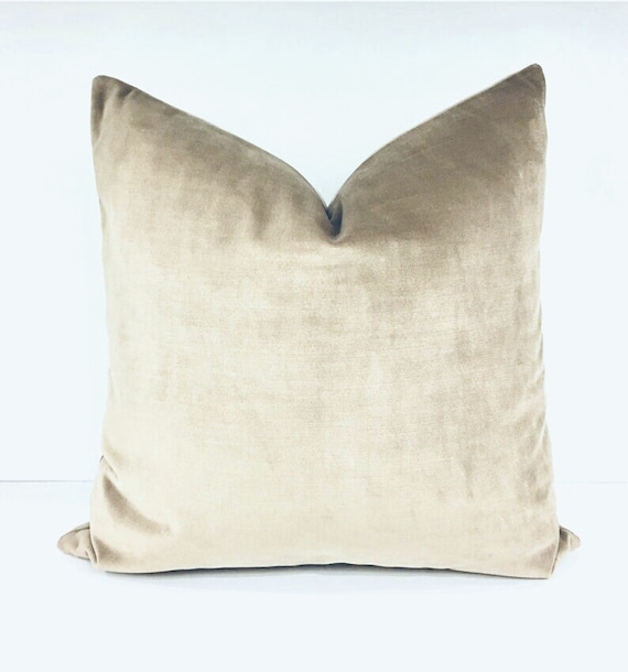 Beige velvet cushions discount