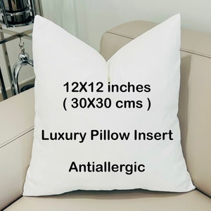 12”X12” Pillow Insert, Throw Pillows Insert, Decorative Pillows Insert, Velvet Cushion Insert, Microfiber Pillows Form, 30X30 Pillow Insert