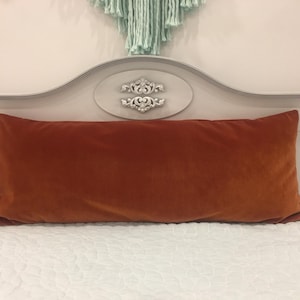 Terracotta Velvet Pillow Cover: Decorative Throw Pillow