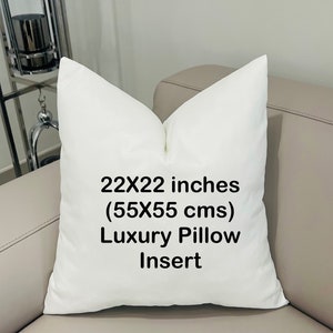 May include: White pillow insert with the text "22X22 inches (55X55 cms) Luxury Pillow Insert" printed on it.