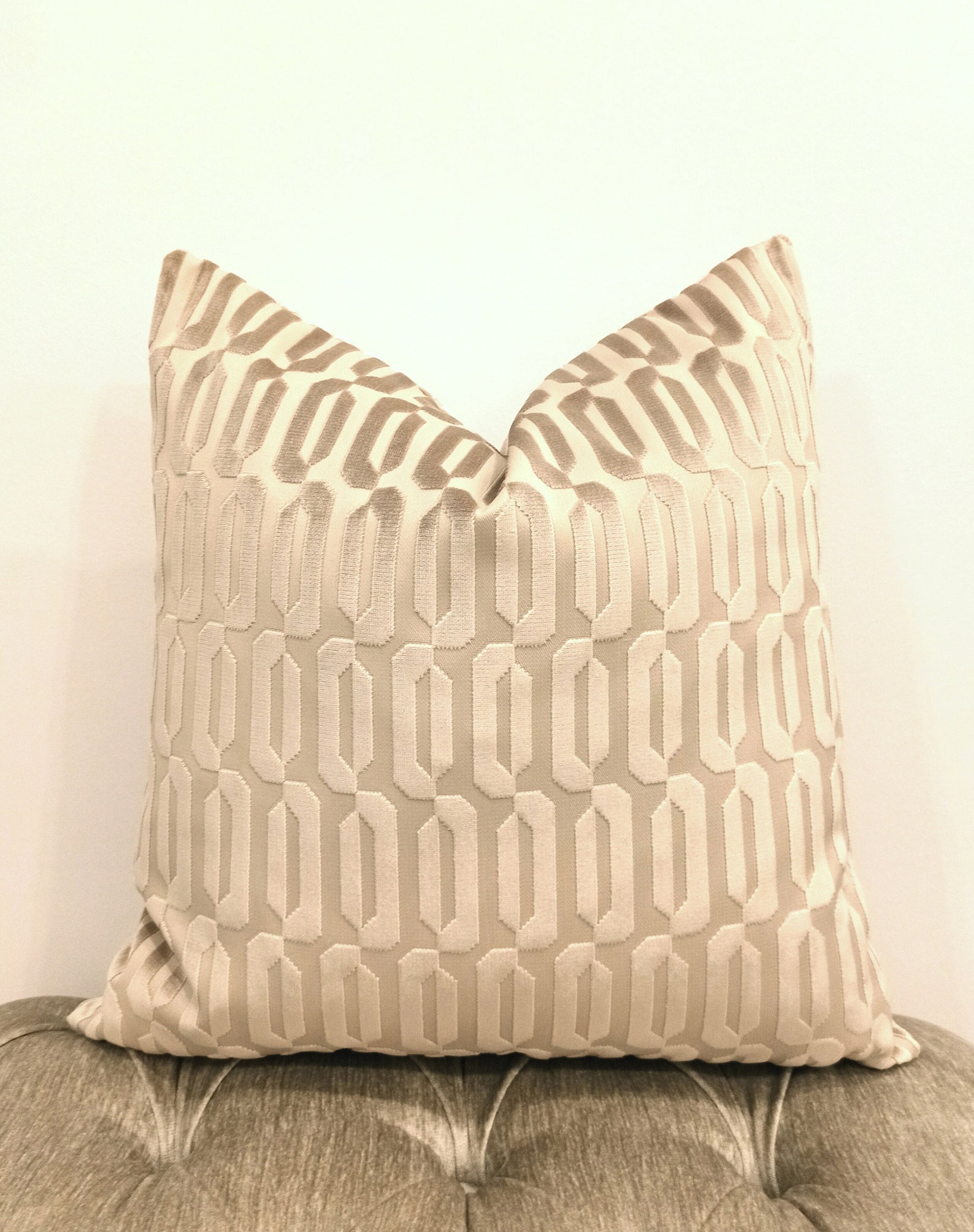 Luxury Beige Velvet Pillow Cover Beige Pillow Velvet Pillow Etsy