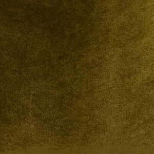 Luxury Oil Green Velvet Curtains, Drape Curtain Panel, Velvet Fabric Window Treatment, Livingroom Bedroom Curtain, Custom Made, All Sizes
