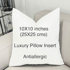 10”X10” Pillow Insert, Throw Pillows Insert, Decorative Pillows Insert, Velvet Cushion Insert, Microfiber Pillows Form, 30X30 Pillow Insert