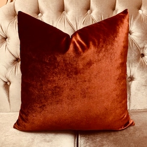 May include: A burnt orange velvet throw pillow with a soft, plush texture. The pillow is square shaped and has a subtle sheen.